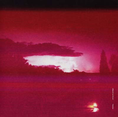 ERIKM & LUC FERRARI | Visitation - Vinyl