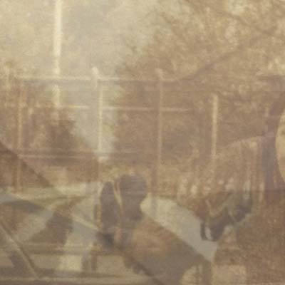 EZEKIEL HONIG | Folding In On Itself - Vinyl