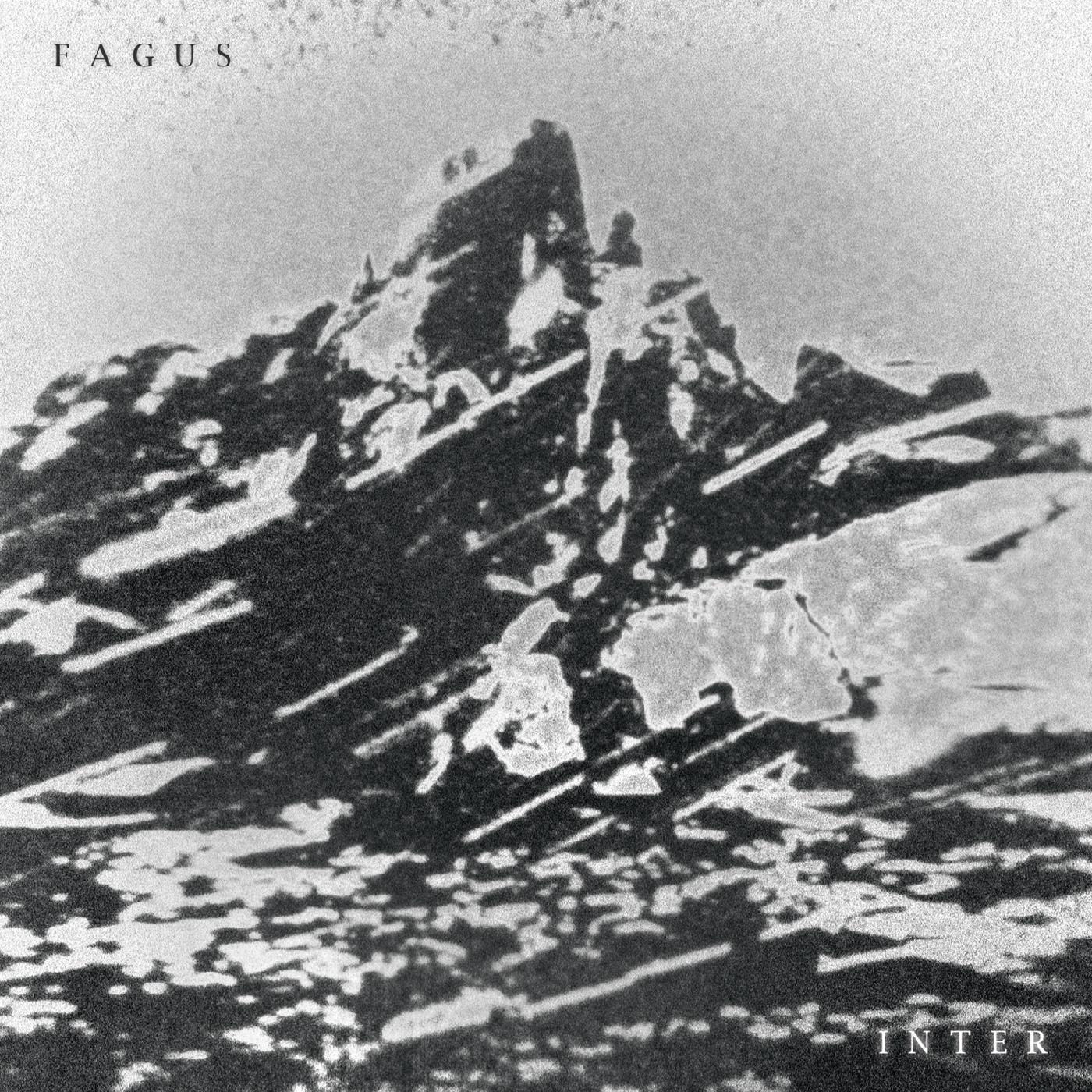 Fagus | Inter - CD