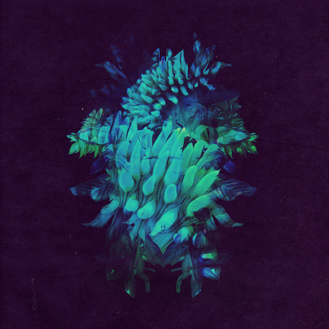 Fakear | All Glows - CD