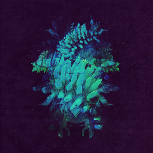 Fakear | All Glows - CD