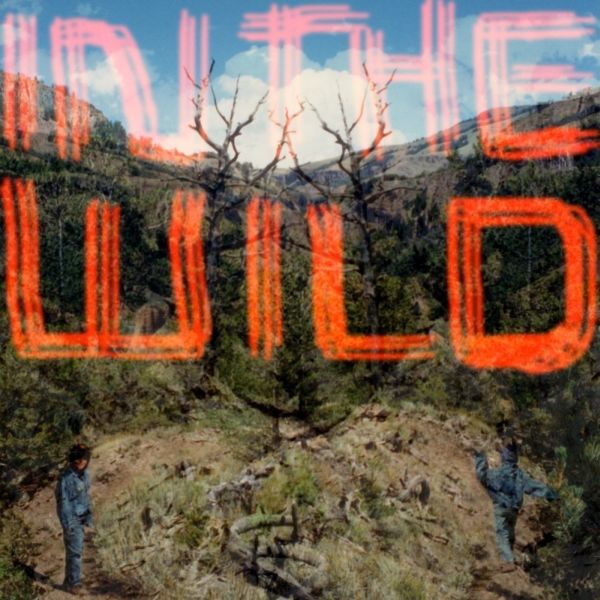 FaltyDL | In The Wild - Vinyl