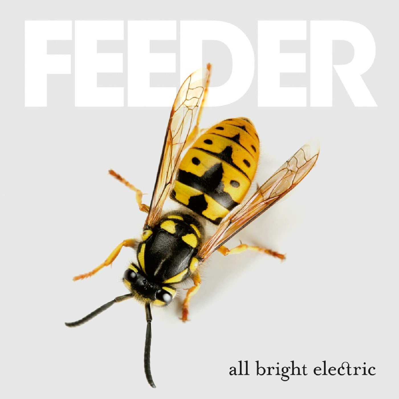 Feeder | All Bright Electric (Deluxe Edition) - Vinyl