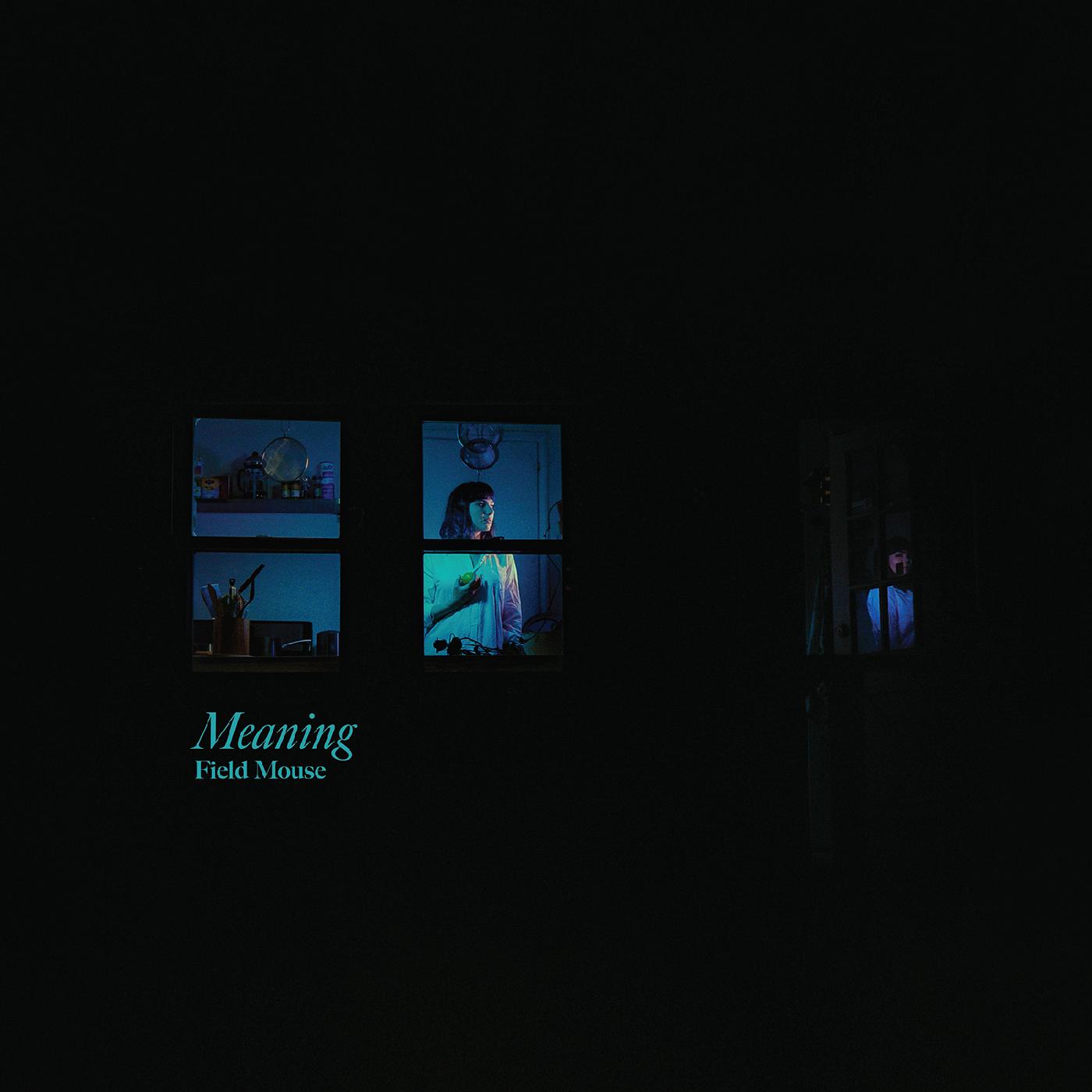Field Mouse | Meaning - Vinyl