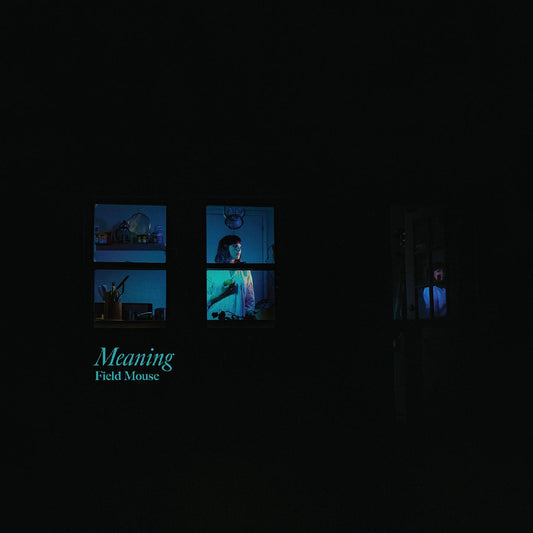 Field Mouse | Meaning - Vinyl