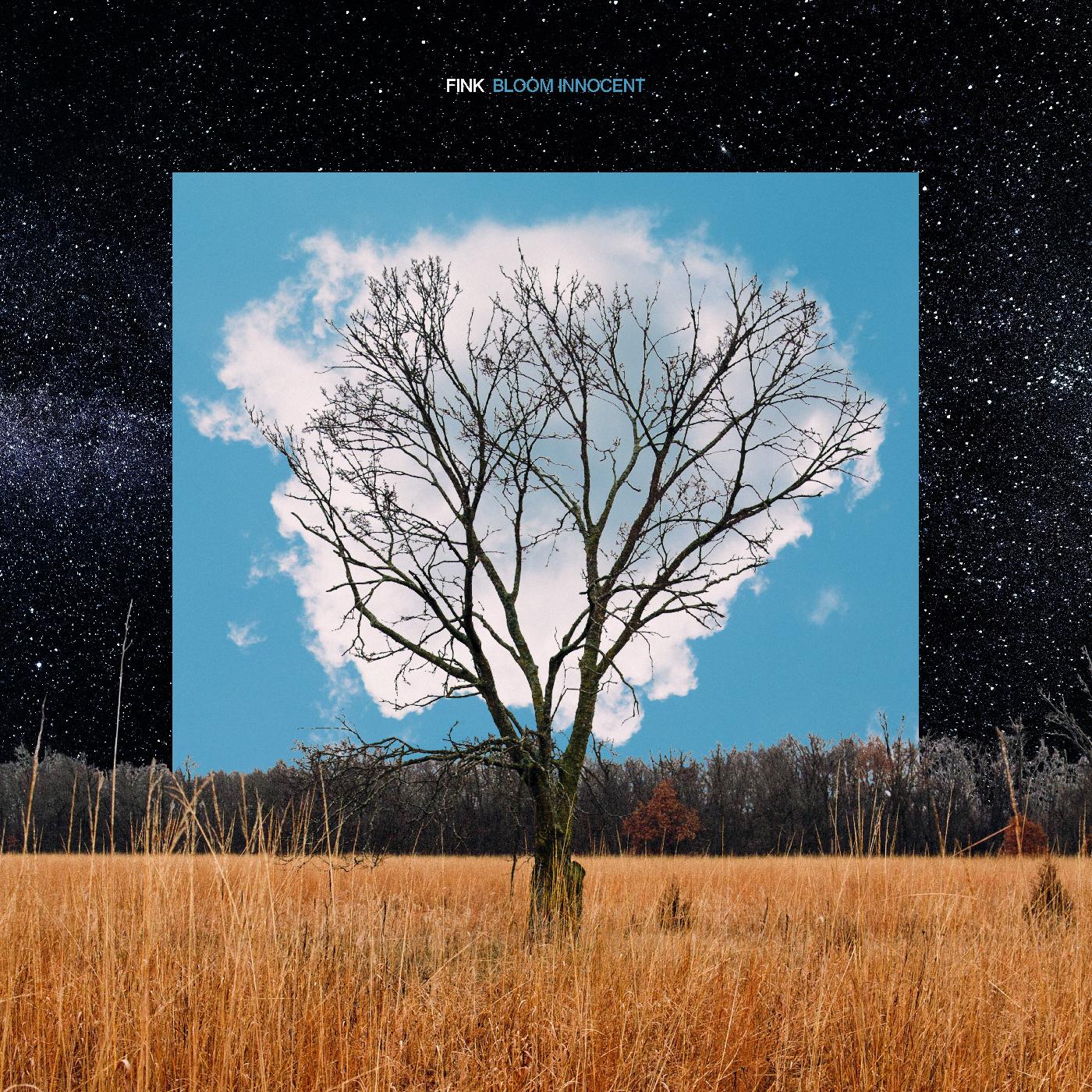 Fink | Bloom Innocent - CD