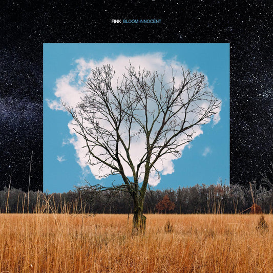 Fink | Bloom Innocent - CD
