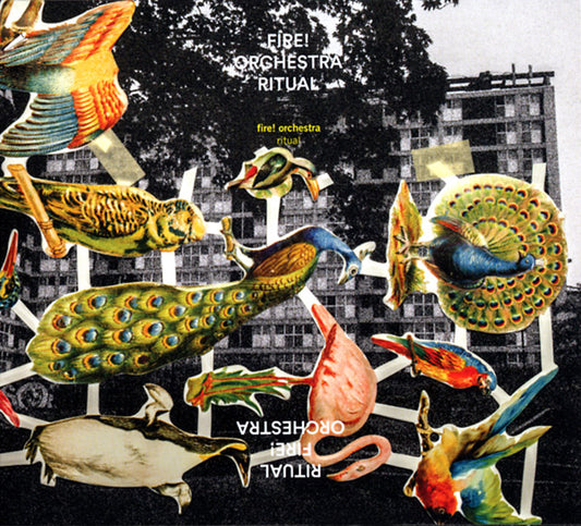 FIRE! ORCHESTRA | Ritual - CD