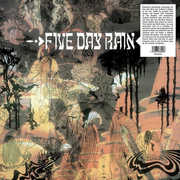 FIVE DAY RAIN | Five Day Rain - Vinyl