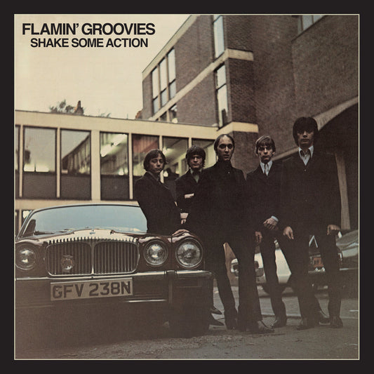 Flamin' Groovies | Shake Some Action (50Th Anniversary, Brick & Mortar Exclusive) [2LP] - Vinyl