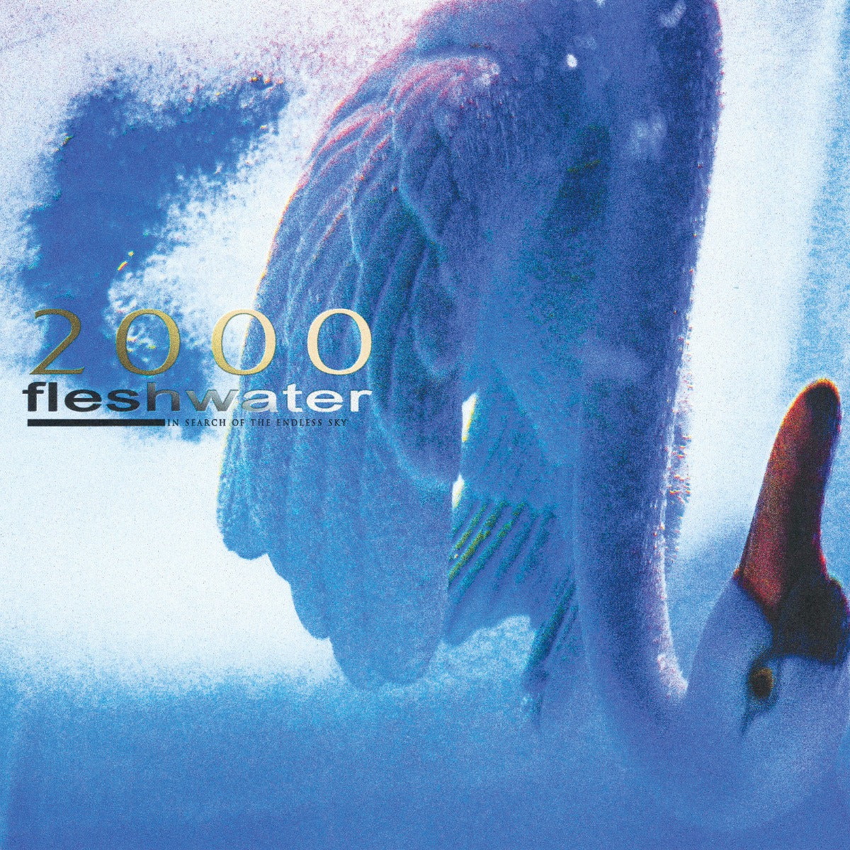 Fleshwater | 2000: In Search Of The Endless Sky (Indie Exclusive Fluorescent Pink Vinyl) - Vinyl