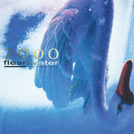 Fleshwater | 2000: In Search Of The Endless Sky (Indie Exclusive Fluorescent Pink Vinyl) - Vinyl