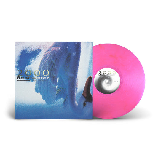 Fleshwater | 2000: In Search Of The Endless Sky (Indie Exclusive Fluorescent Pink Vinyl) - Vinyl