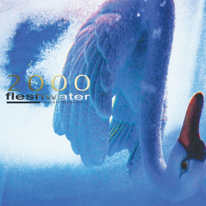 Fleshwater | 2000: In Search Of The Endless Sky - CD