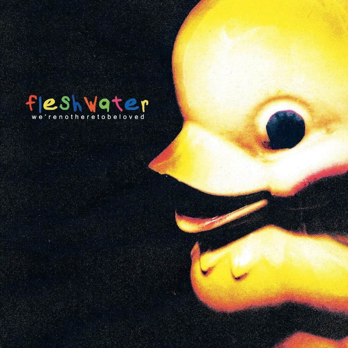 Fleshwater | We're Not Here To Be Loved - Vinyl