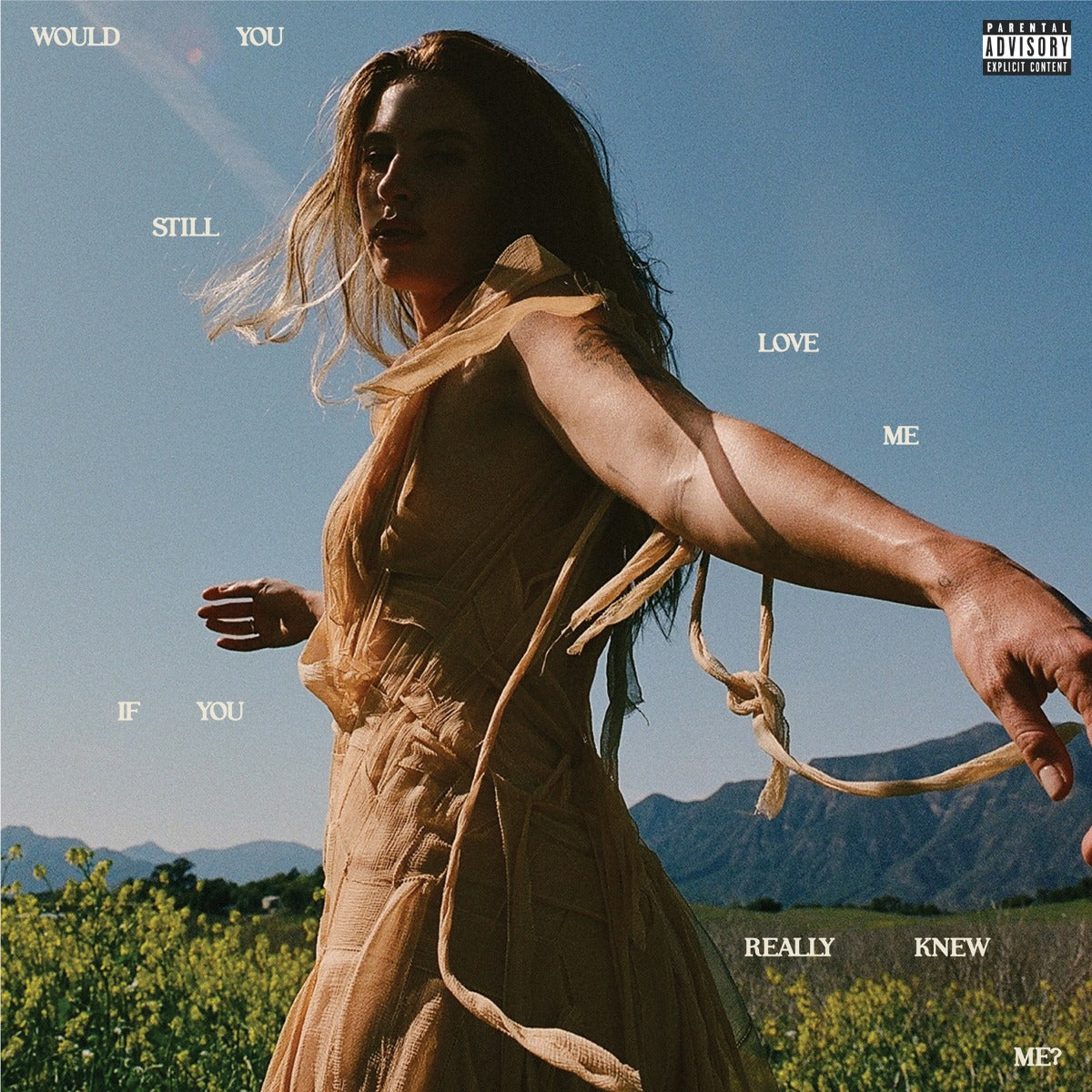 FLETCHER | Would You Still Love Me If You Really Knew Me? [Lp] - Vinyl