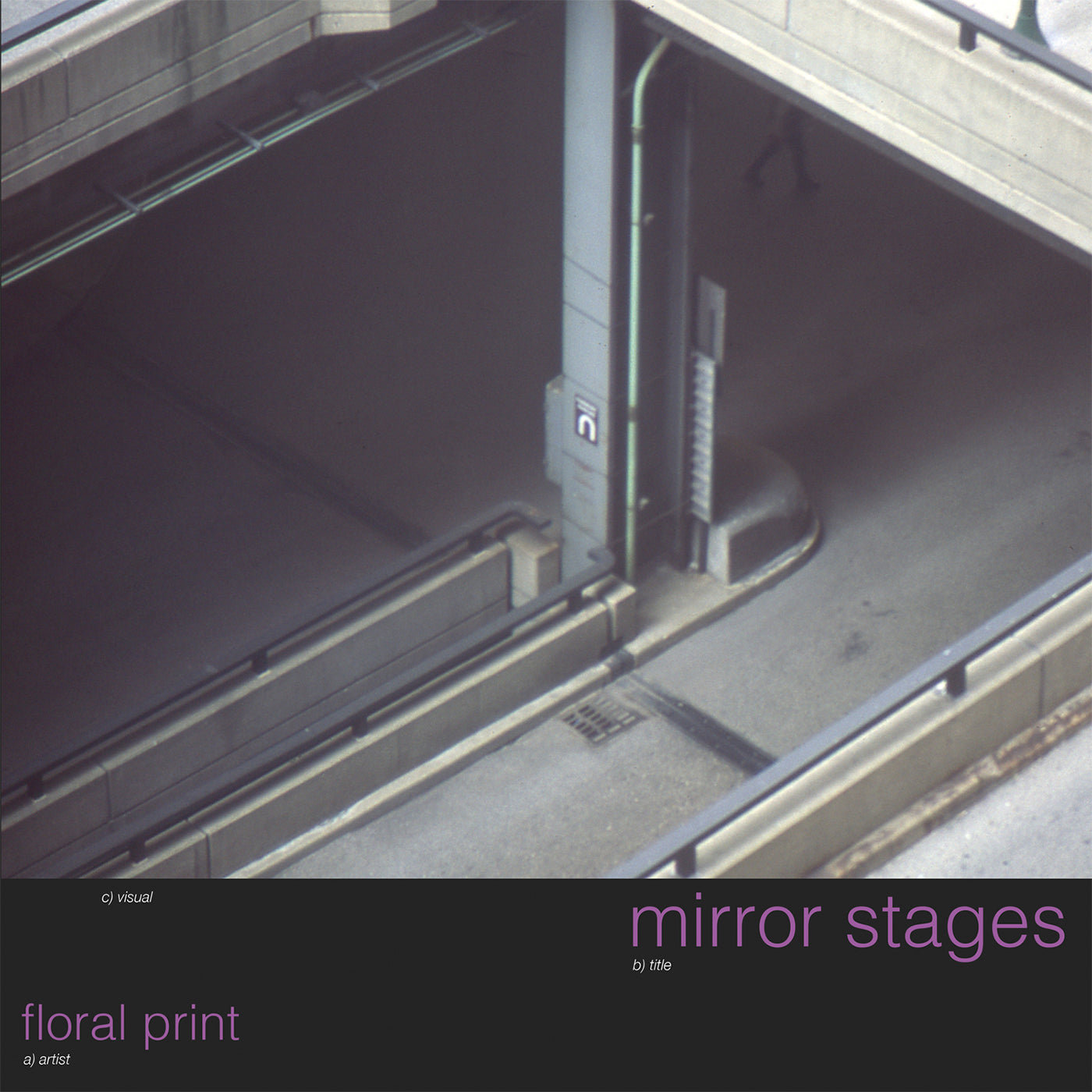 Floral Print | mirror stages - Vinyl