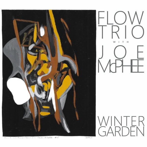 FLOW TRIO WITH JOE MCPHEE | Winter Garden - CD