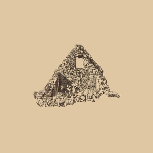Fohn | Seanteach - Vinyl