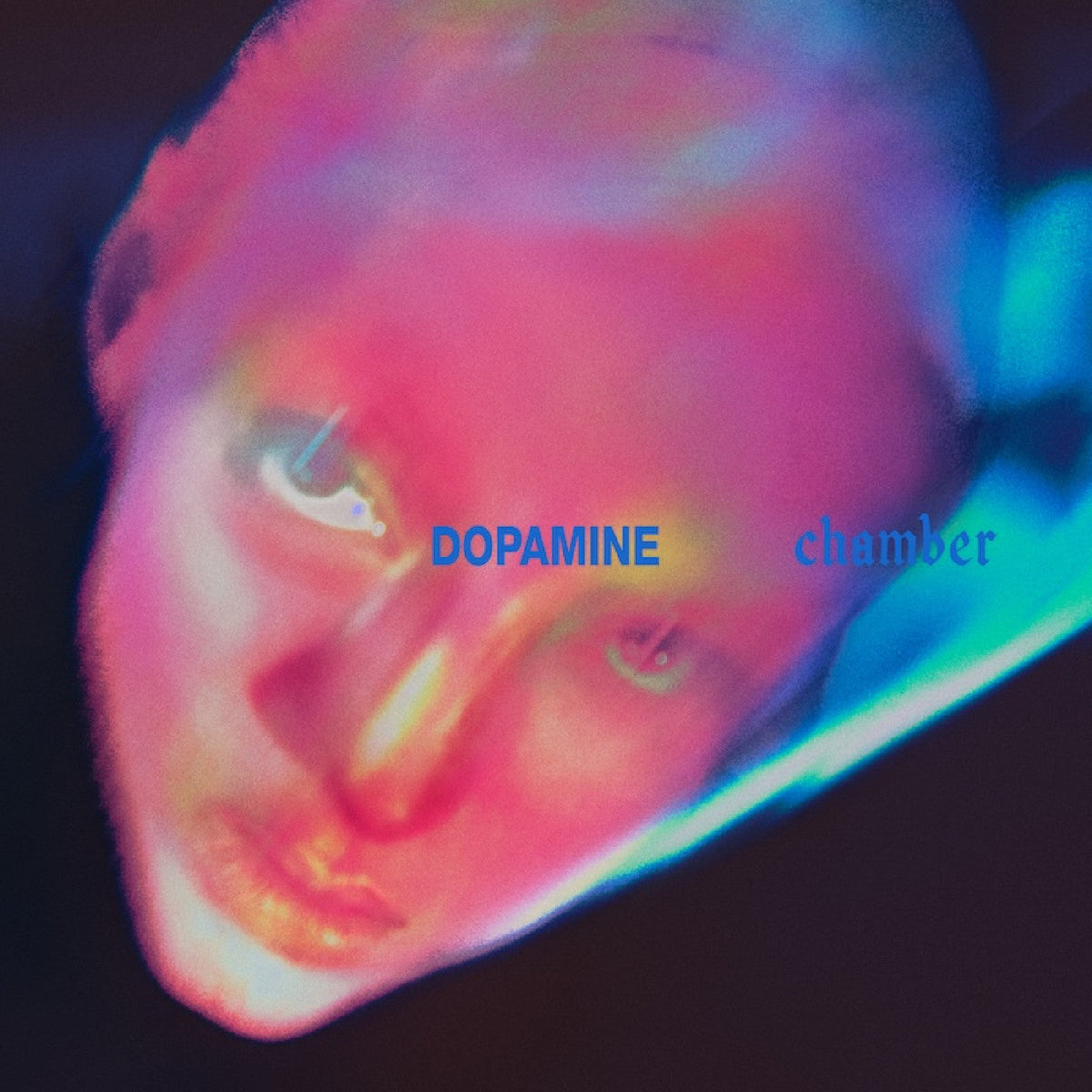 Fontaines D.C. | Dopamine Chamber - Vinyl