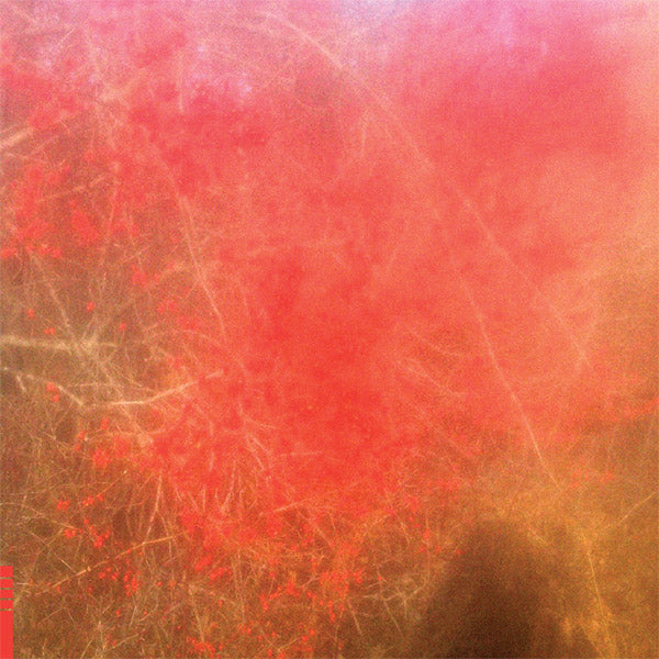 FOOM & FOAM | Foom & Foam - Vinyl