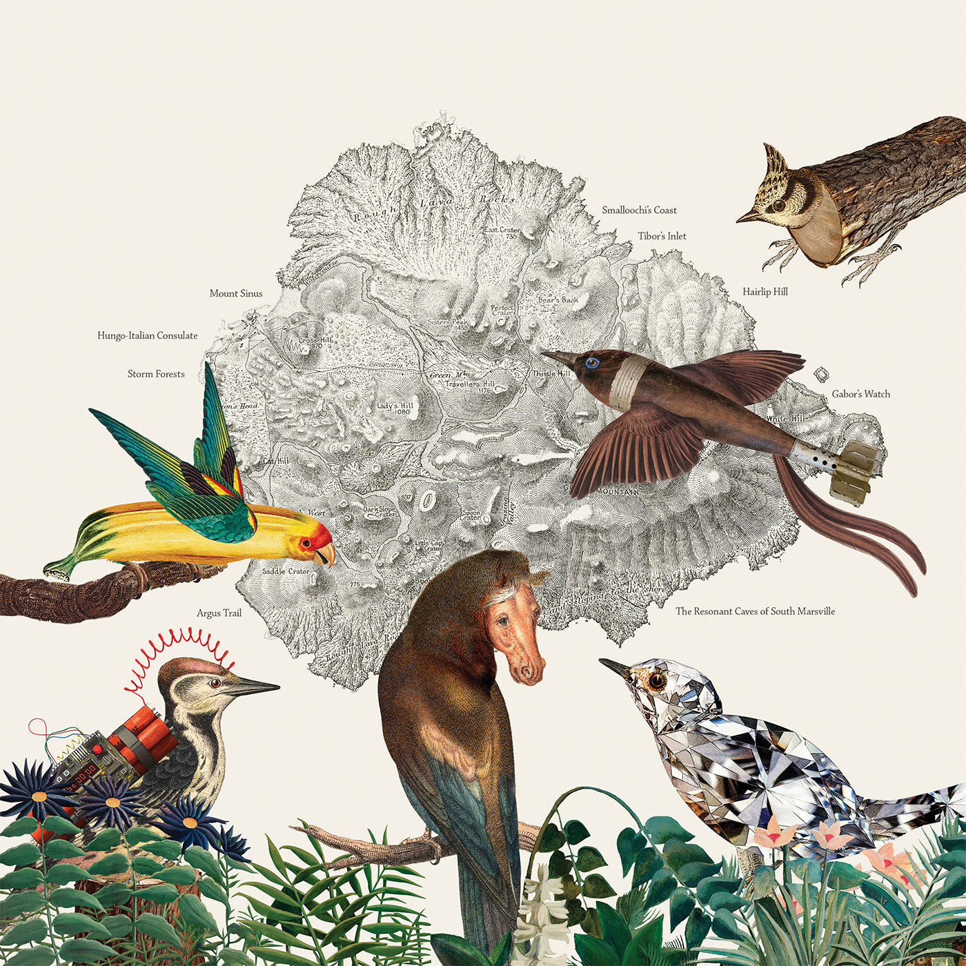 Friendly Rich | The Birds Of Marsville - Vinyl