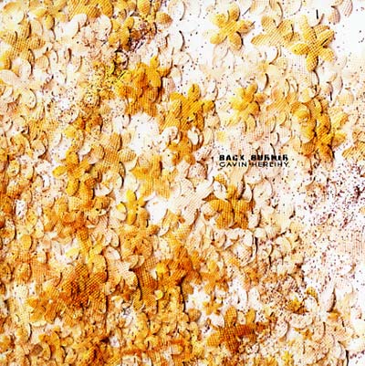 GAVIN HERLIHY | Back Burner - Vinyl