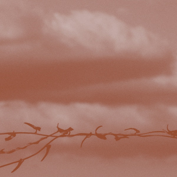 GENEVA SKEEN | Double Bind - CD