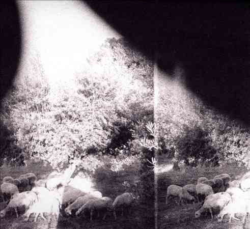 Godspeed You Black Emperor | Asunder Sweet & Other Distress (180 Gram Vinyl, Digital Download Card) - Vinyl