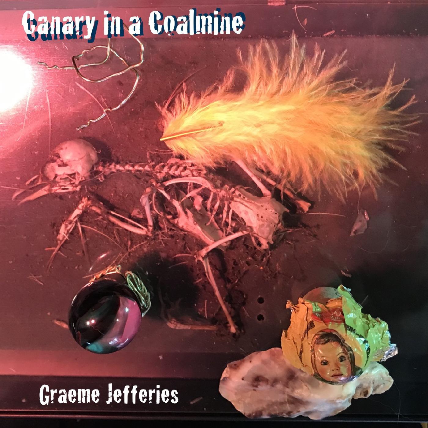 Graeme Jefferies | Canary in a Coalmine - Vinyl