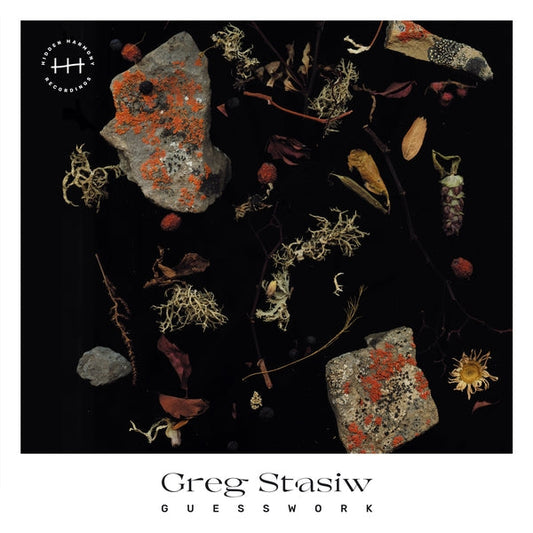 Greg Stasiw | Guesswork [LP] - Vinyl
