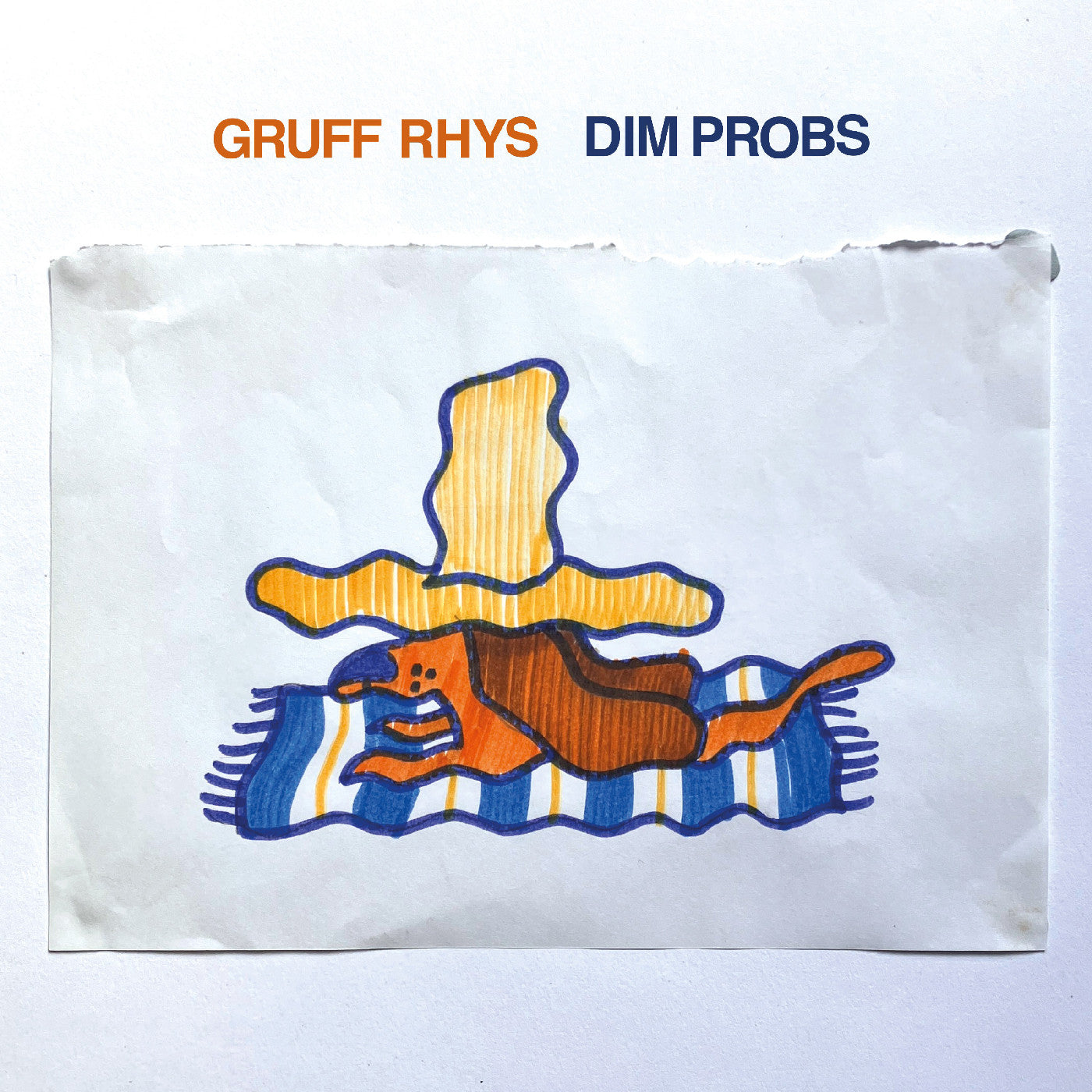 Gruff Rhys | Dim Probs - CD
