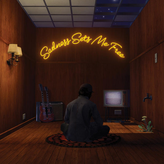 Gruff Rhys | Sadness Sets Me Free (Indie Exclusive Blackberry Neo-Neapolitan Vinyl) - Vinyl