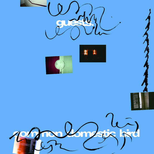 Guests | Common Domestic Bird - Vinyl