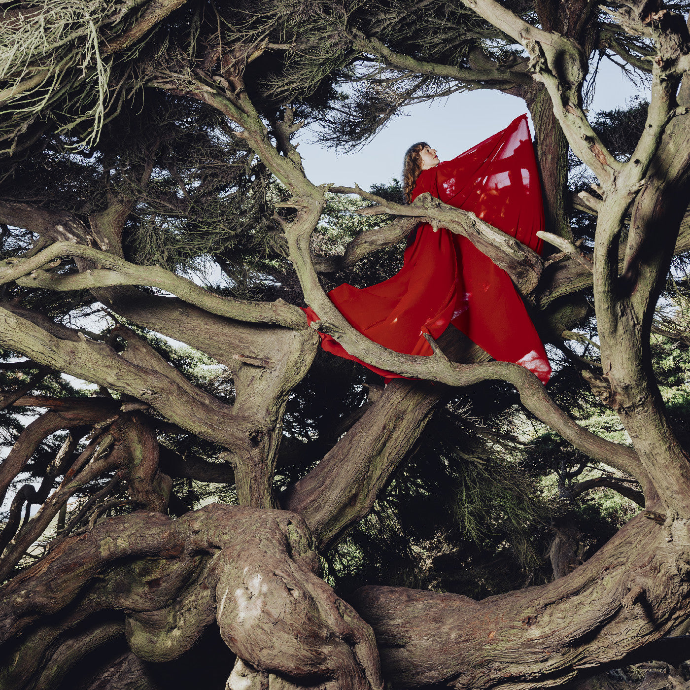 Hannah Frances | Nested In Tangles (Ruby Red Vinyl) - Vinyl