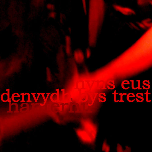 Hanterhir | There is No One to Trust (Nyns Eus Denvydth Bys Trest) - Vinyl