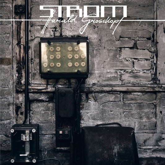 HARALD GROSSKOPF | Strom - Vinyl