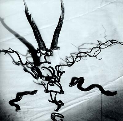 HEAD OF WANTASTIQUET | Mortague - Vinyl