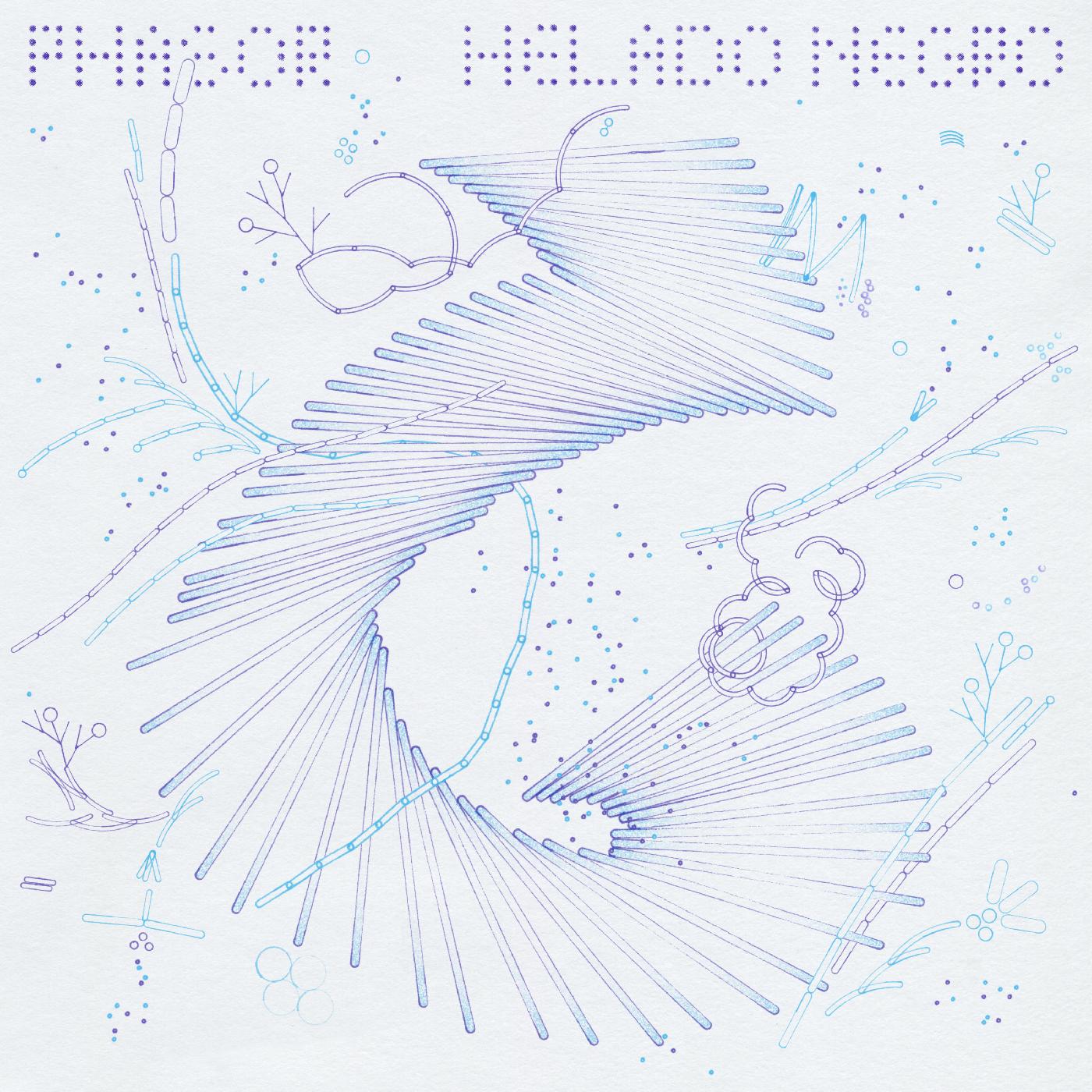 Helado Negro | Phasor - Vinyl