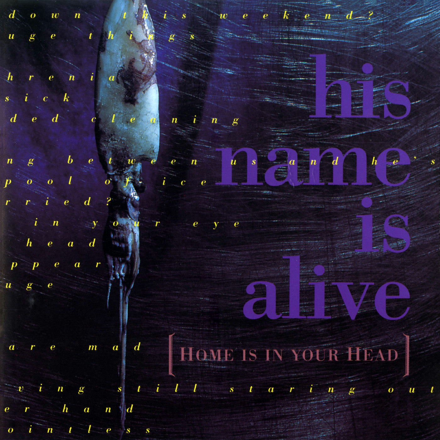 His Name Is Alive | Home Is In Your Head - Vinyl