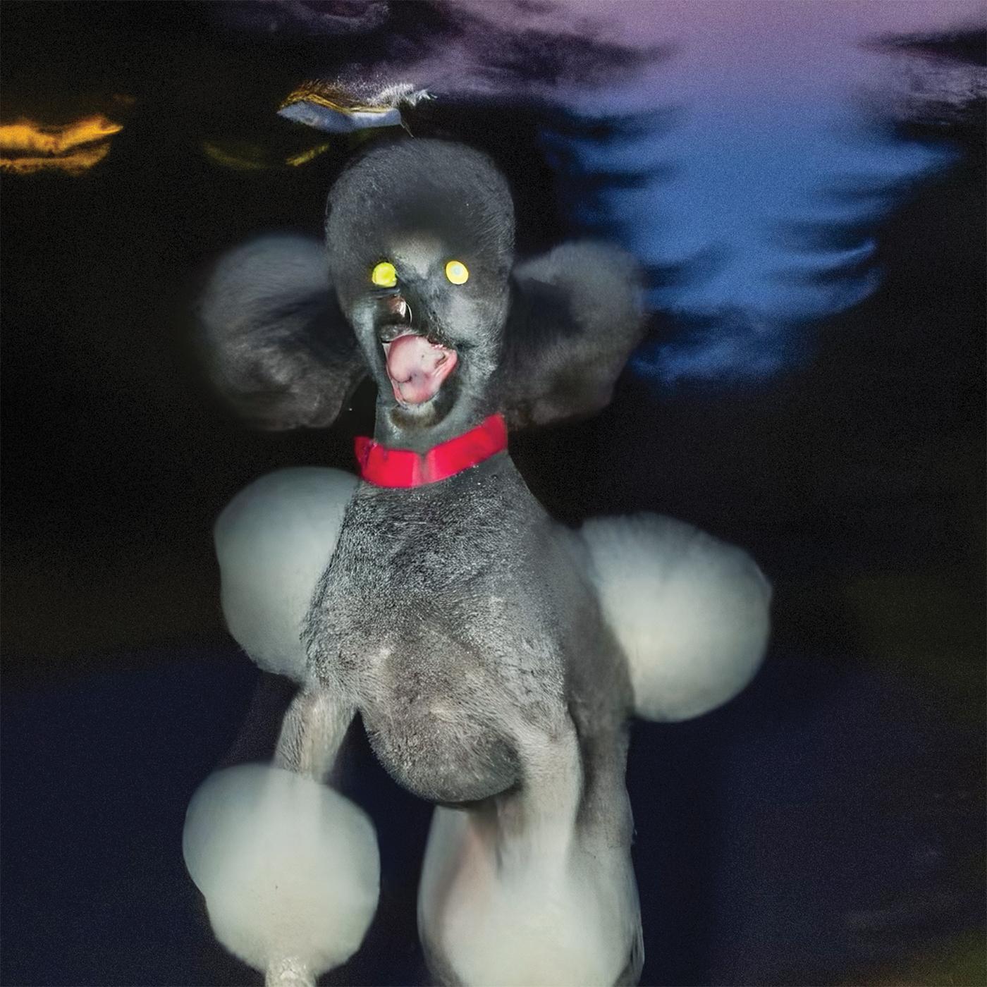 Hit Bargain | A DOG A DEER A SEAL - Vinyl