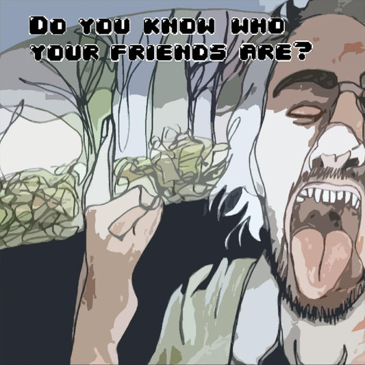 Horrible Girl and the Hot Mess | Do You Know Who Your Friends Are? - CD