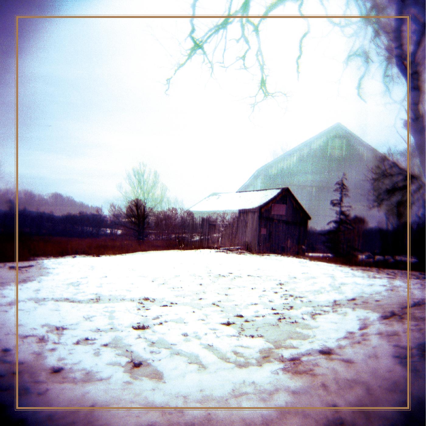 Horse Feathers | House With No Home (DELUXE EDITION, CLEAR BLUE WITH GRAY STREAKS VINYL) - Vinyl