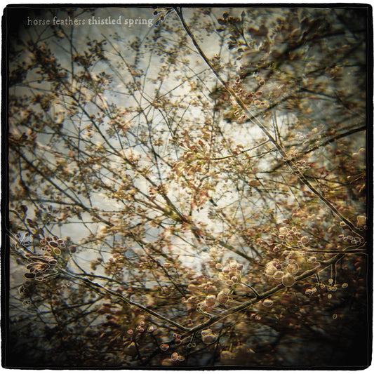 Horse Feathers | Thistled Spring - CD