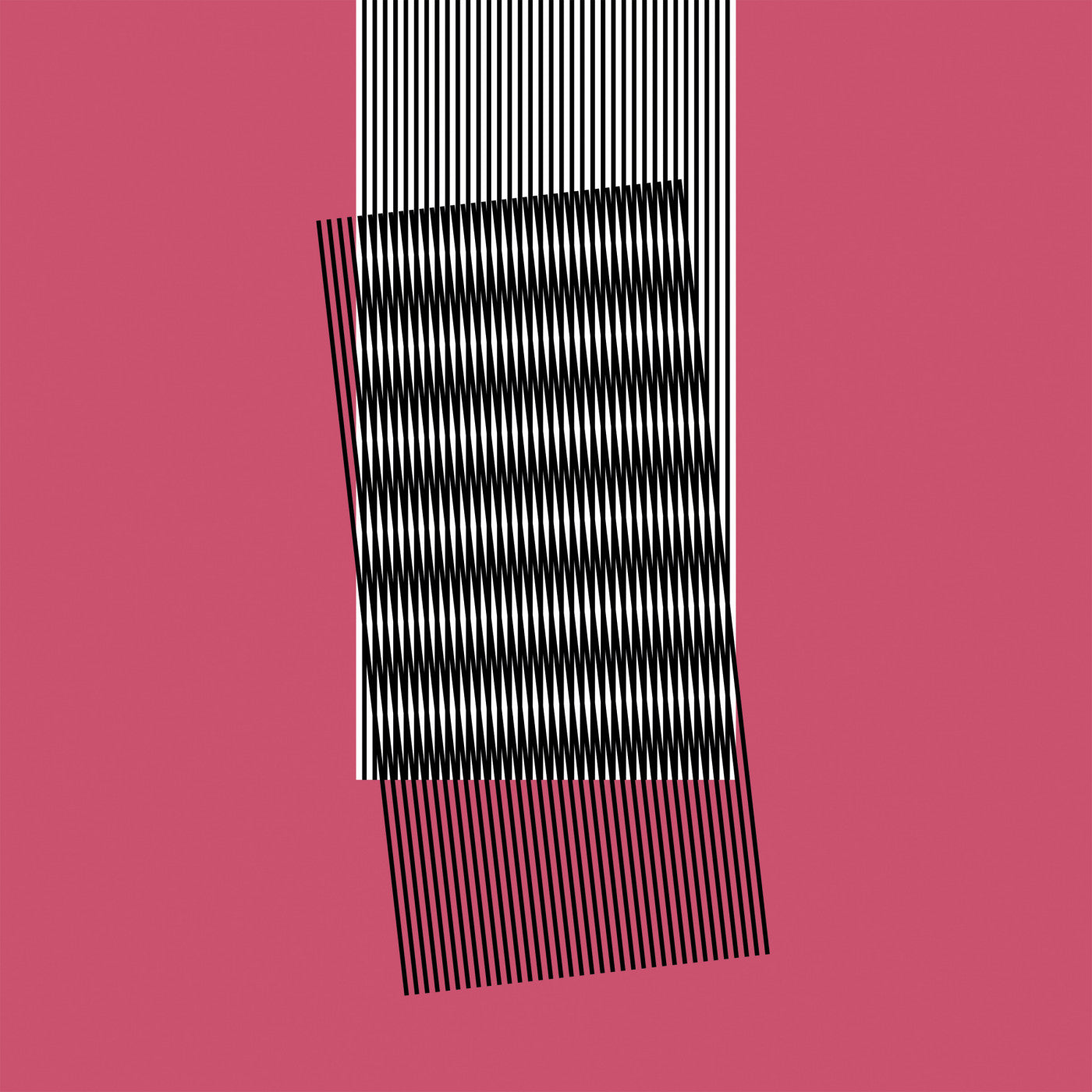 HOT CHIP | Why Make Sense? - CD