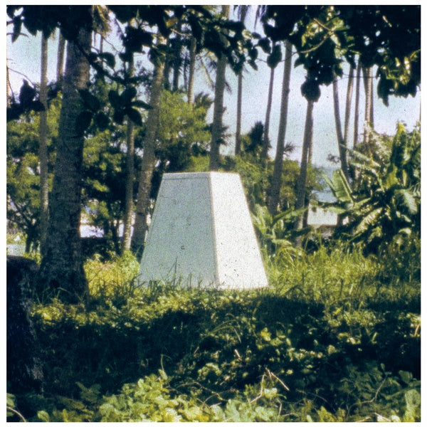HUGO R.A. PARIS | Threaded Habitat - Vinyl