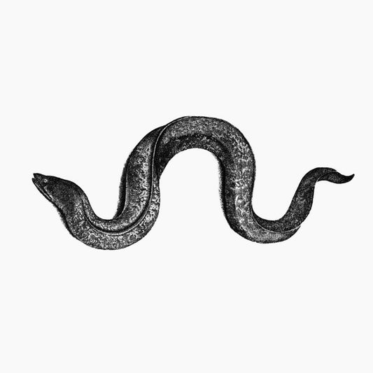 HYUNHYE SEO | Eel - CD