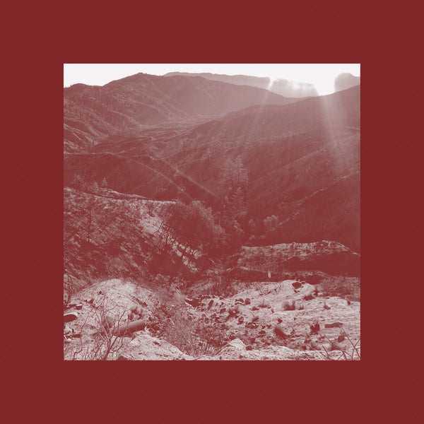 IAN WELLMAN | On The Darkest Day, You Took My Hand And Swore It Will Be Okay - CD