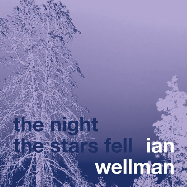 IAN WELLMAN | The Night The Stars Fell - CD