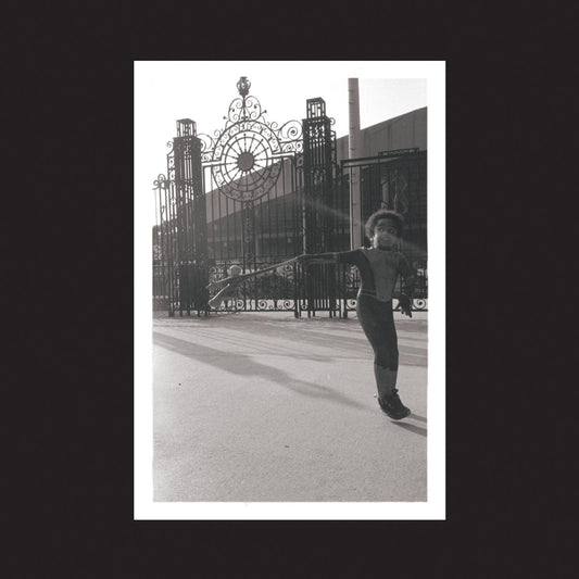 Irreversible Entanglements | Open The Gates (2LP) - Vinyl